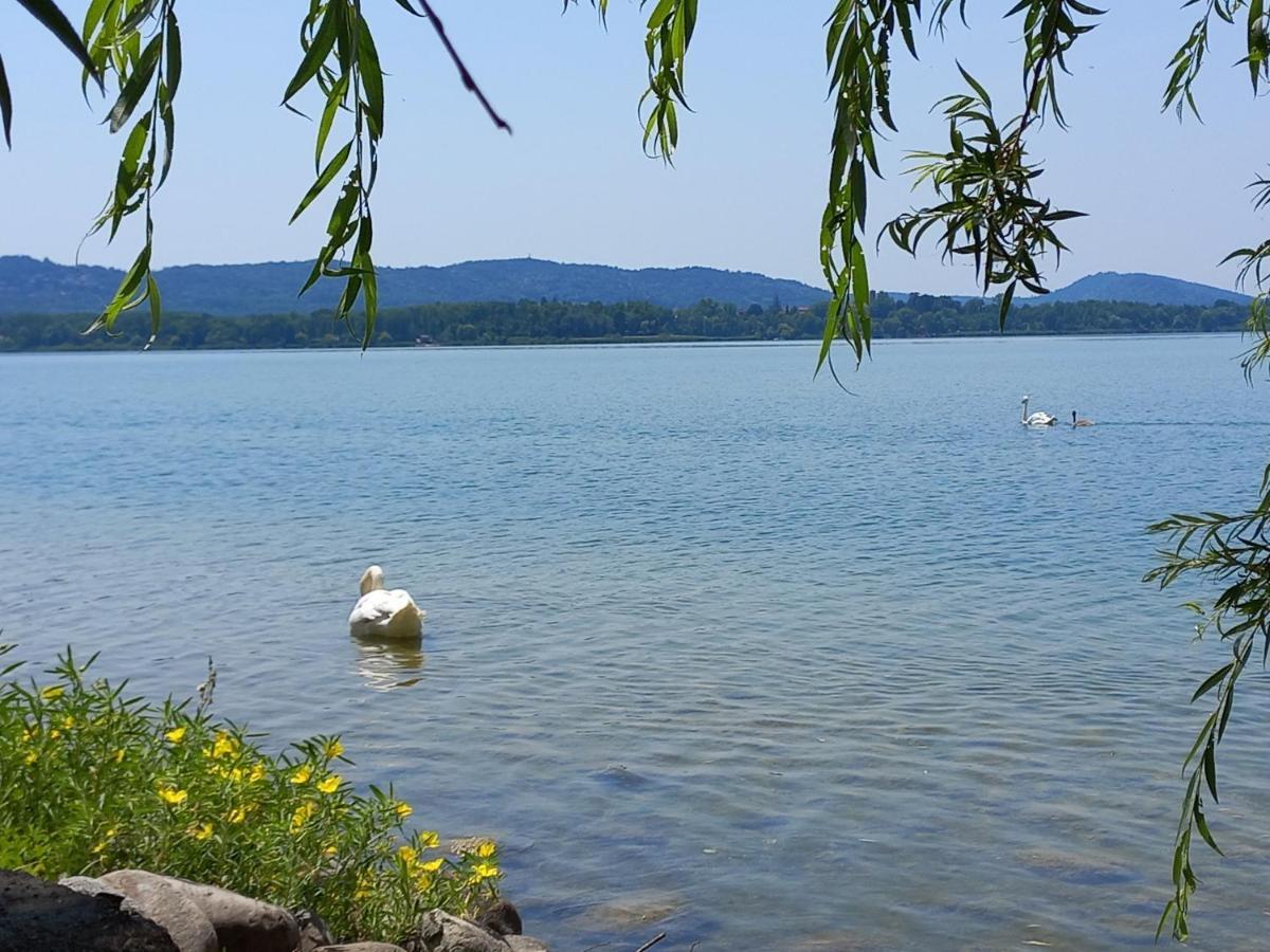 Appartamento Miralago Con Giardino Sul Lago Gavirate Bagian luar foto