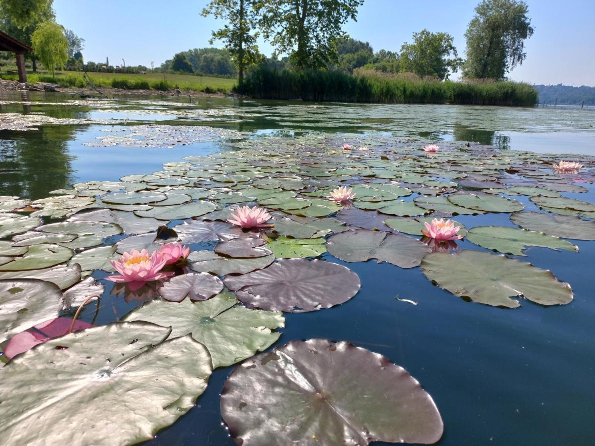 Appartamento Miralago Con Giardino Sul Lago Gavirate Bagian luar foto