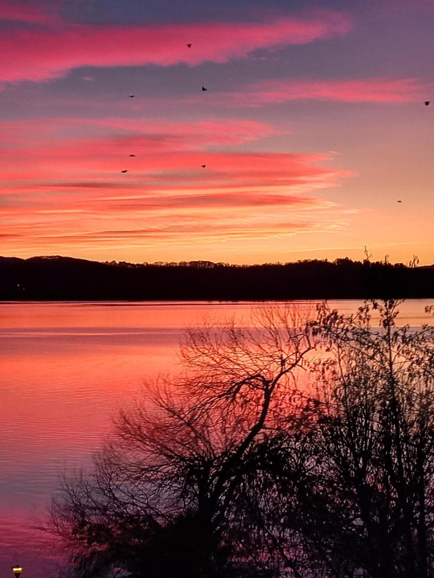 Appartamento Miralago Con Giardino Sul Lago Gavirate Bagian luar foto