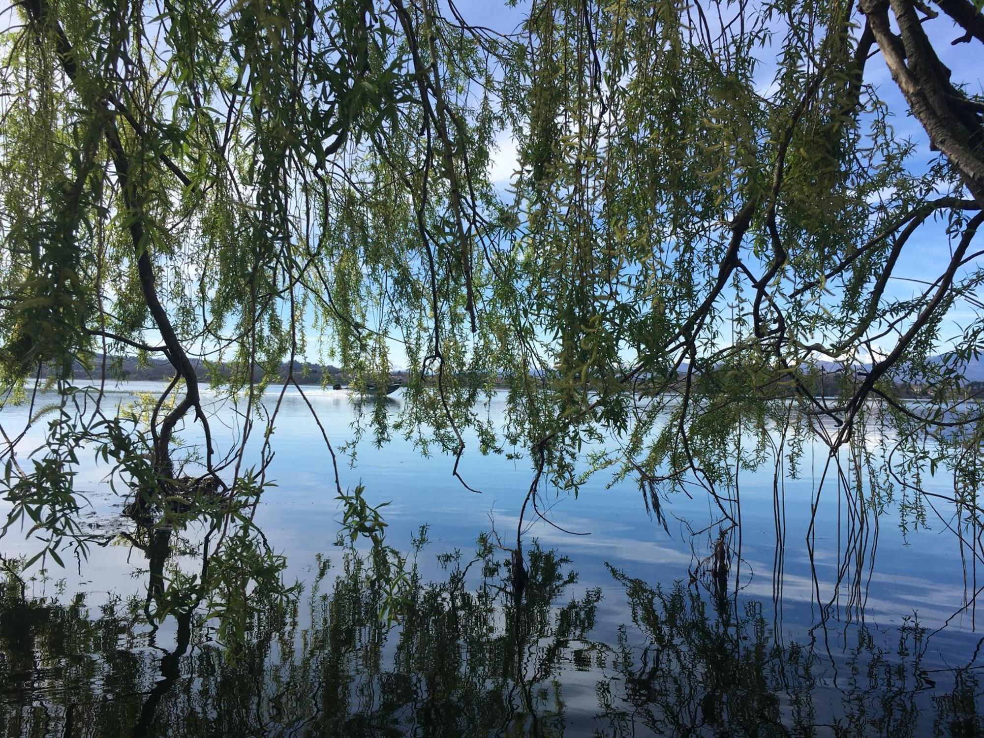 Appartamento Miralago Con Giardino Sul Lago Gavirate Bagian luar foto